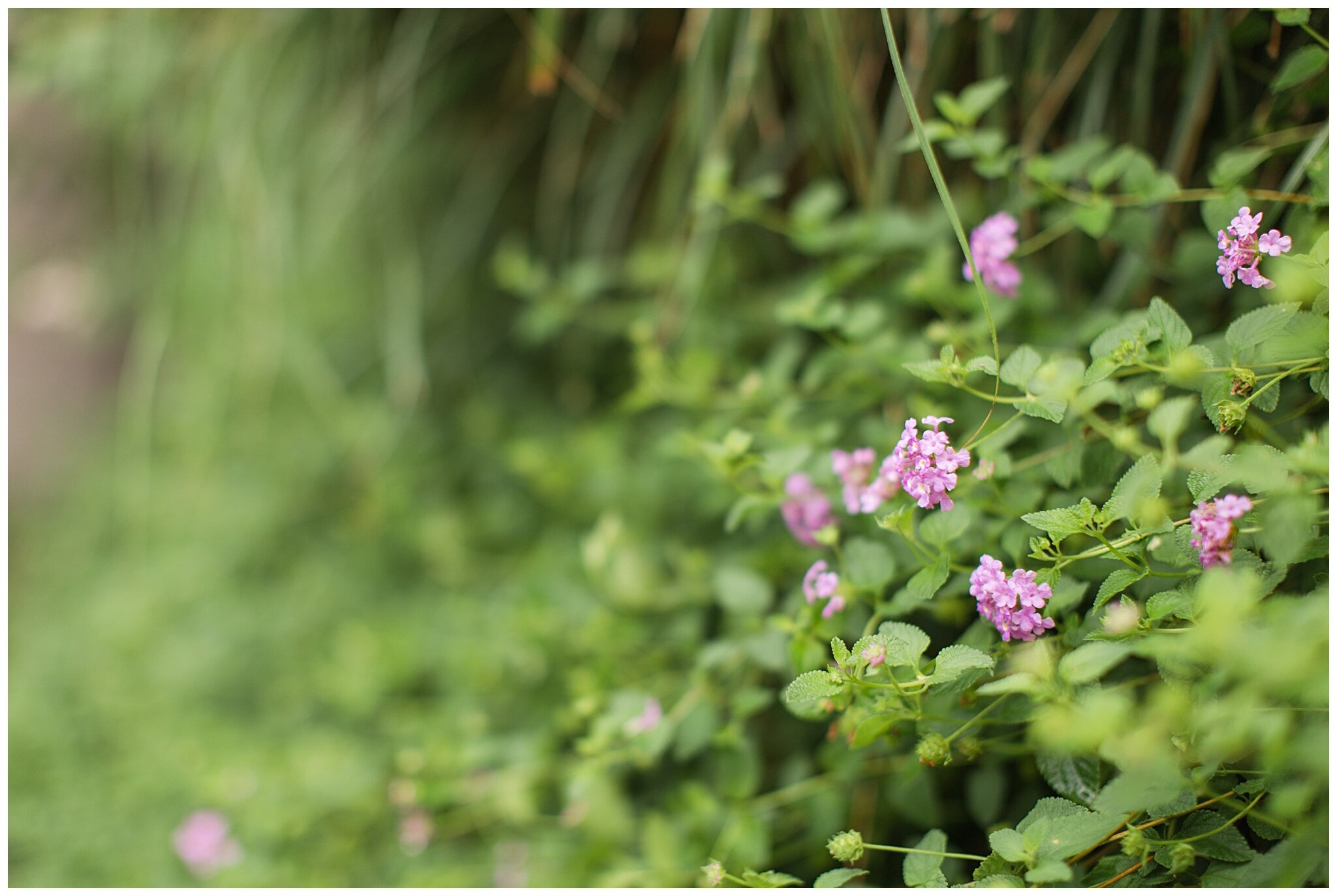 Woodlands-TX-Beauty-Session-Emily-Wisch-Photography_0016.jpg